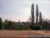 Väterchen Timofei 039